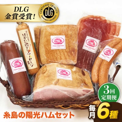 【全3回定期便】 糸島の陽光 ハムセット 3 《糸島》 【志摩スモークハウス】 [AOA014]