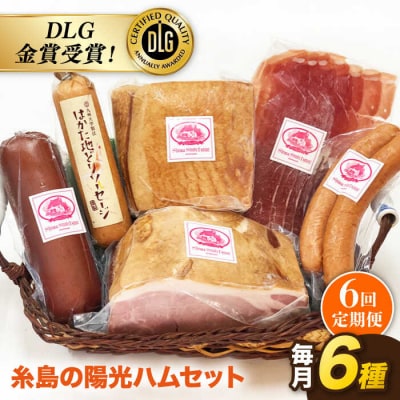 【全6回定期便】 糸島の陽光 ハムセット 3 《糸島》 【志摩スモークハウス】 [AOA015]