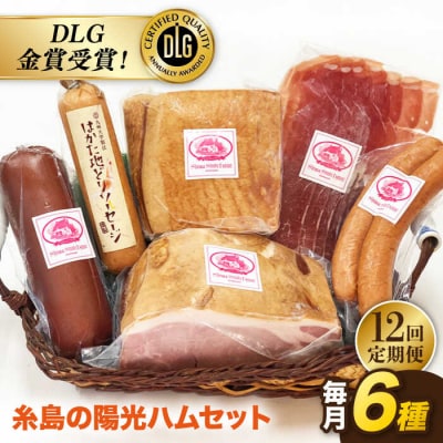 【全12回定期便】 糸島の陽光 ハムセット 3 《糸島》 【志摩スモークハウス】 [AOA016]