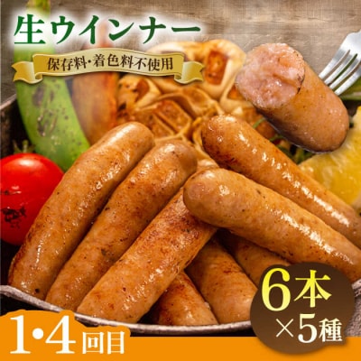 【全6回定期便】 ウインナー/ハンバーグ/ハム 月替りセット 志摩スモークハウス[AOA039]