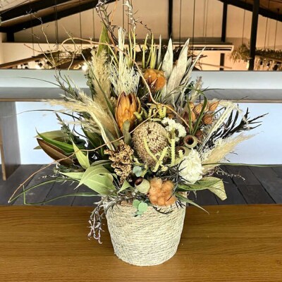 バンクシアのアレンジメント(Mサイズ)糸島市/tokohana ドライフラワー [AOC036]