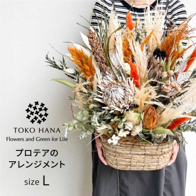 プロテアのアレンジメント(Lサイズ)糸島市/tokohana ドライフラワー [AOC037]