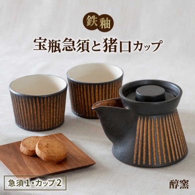 鉄釉 宝瓶急須と猪口カップ 2個セット 糸島市/醇窯 セット カップ [AOE010]