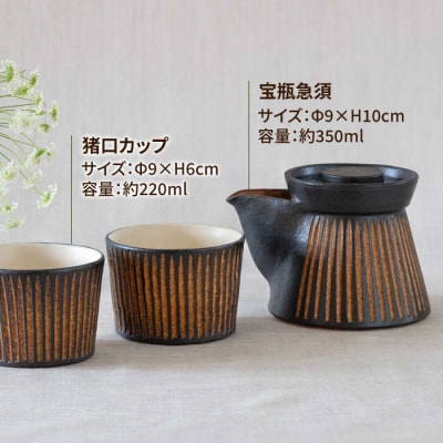 鉄釉 宝瓶急須と猪口カップ 2個セット 糸島市/醇窯 セット カップ [AOE010]