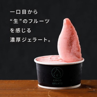 糸島フルーツ 生ジェラート 9個セット 糸島市/COCO GELATO [AON001]