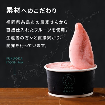 糸島フルーツ 生ジェラート 9個セット 糸島市/COCO GELATO [AON001]