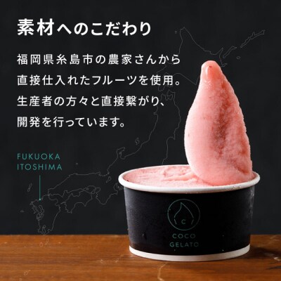 糸島フルーツ 生ジェラート 9個セット 糸島市/COCO GELATO [AON001]