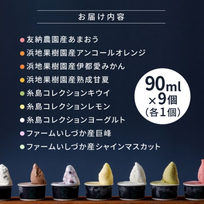 糸島フルーツ 生ジェラート 9個セット 糸島市/COCO GELATO [AON001]