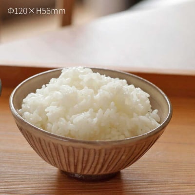 粉引 しのぎ 飯碗 糸島市/高麗窯【いとしまごころ[AOZ006]