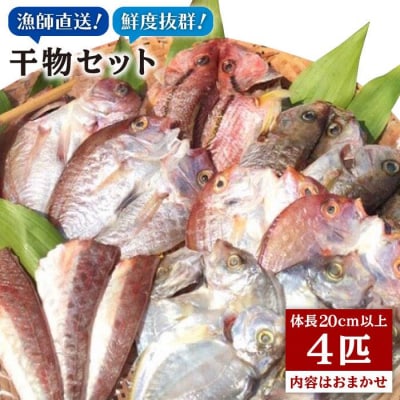 干物 セット 4点(1匹 20cm 以上)マダイ 糸島市/徳栄丸[APD006]