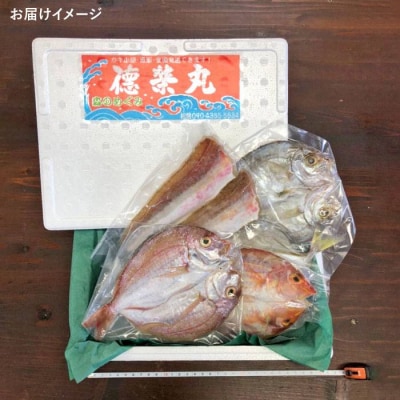 干物 セット 4点(1匹 20cm 以上)マダイ 糸島市/徳栄丸[APD006]