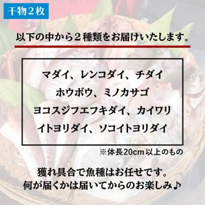 干物&白身魚4点+わかめの佃煮セット(簡単おうちご飯) 糸島市/徳栄丸[APD007]