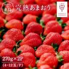 【先行受付】完熟あまおう270g×2 /slowberrystrawberry[APJ002]