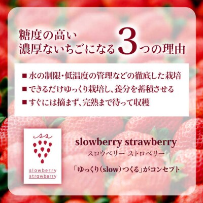 完熟あまおう270g×2 /slowberrystrawberry[APJ002]