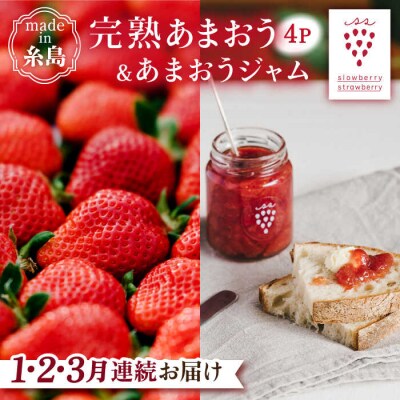 【全3回定期便】完熟あまおう270g×4Pあまおうジャム140g×3本[APJ004]
