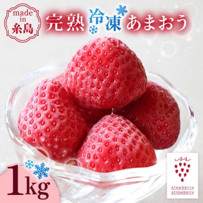 完熟冷凍あまおう1kg 糸島市/slowberrystrawberry[APJ006]