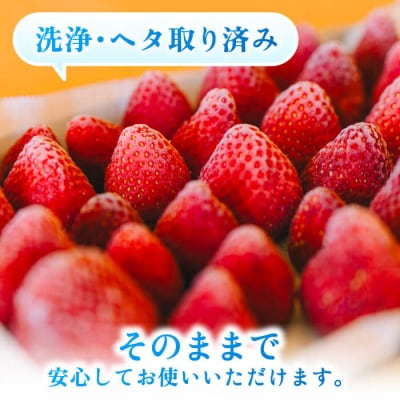 完熟冷凍あまおう1kg 糸島市/slowberrystrawberry[APJ006]