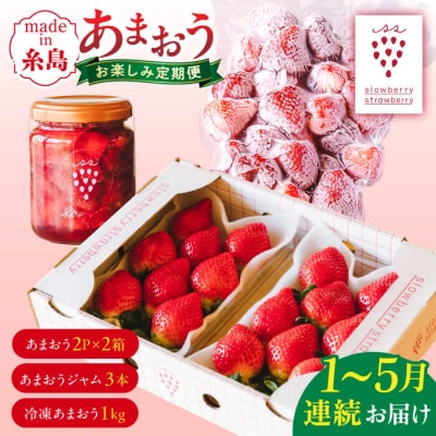 全5回定期便あまおう4pac/あまおうジャム3/冷凍あまおう1kg[APJ007]