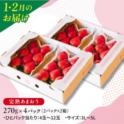 全5回定期便あまおう4pac/あまおうジャム3/冷凍あまおう1kg[APJ007]