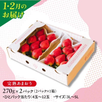 全5回定期便あまおう2パック/あまおうジャム3本/冷凍あまおう1kg[APJ008]