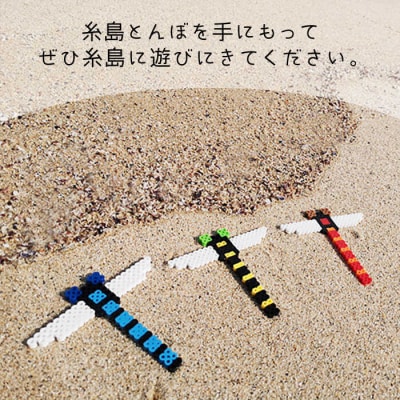 一号機 : オニヤンマ 糸島市/糸島とんぼ[APK001]