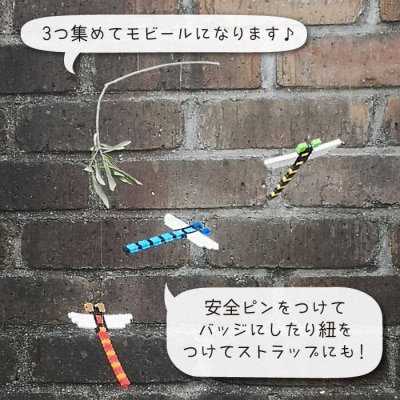 三号機 : 大地の恵み古代米のレッド アキアカネ 糸島市/糸島とんぼ[APK004]
