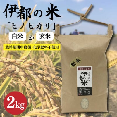 【令和7年産】伊都の米(ヒノヒカリ)2kg 糸島市/伊都福祉サービス協会[APL001]