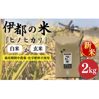 【令和7年産】伊都の米(ヒノヒカリ)2kg 糸島市/伊都福祉サービス協会[APL001]