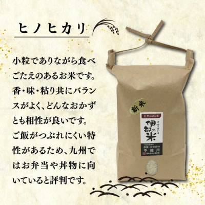 【令和7年産】伊都の米(ヒノヒカリ)2kg 糸島市/伊都福祉サービス協会[APL001]