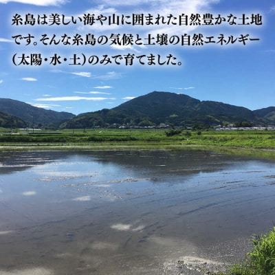 【令和7年産】伊都の米(ヒノヒカリ)2kg 糸島市/伊都福祉サービス協会[APL001]