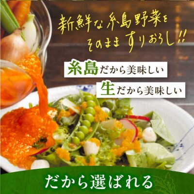 【ご家庭用】野菜を食べる生ドレッシング(玉葱×3本) 糸島市/糸島正キ[AQA009]