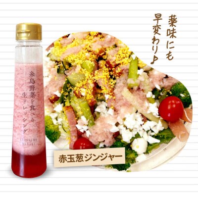 野菜を食べる生ドレッシング赤玉葱ジンジャー3本 糸島市/糸島正キ[AQA043]