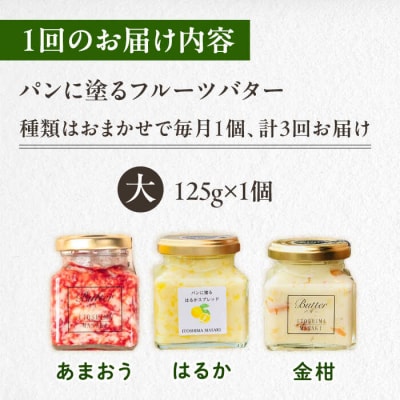 【全3回定期便】お楽しみ定期便フルーツバター大1個 糸島市/糸島正キ[AQA062]