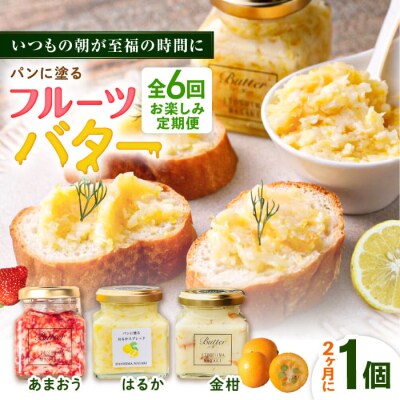 【全6回定期便/2ヶ月に1回】お楽しみ定期便フルーツバター大1個 糸島正キ[AQA066]