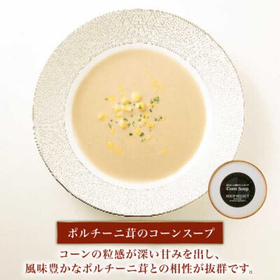【全6回定期便】SoupSelect2点セット 糸島市/糸島正キ[AQA072]