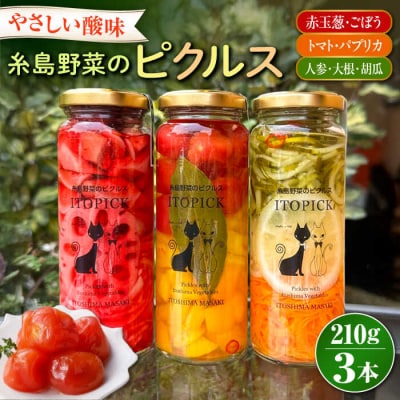 【ITOPICK】糸島野菜のピクルス3本セット 糸島市/糸島正キ [AQA098]