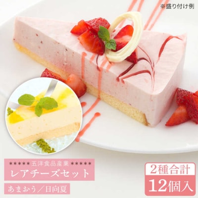レアチーズケーキ(あまおう/日向夏)ケーキ2種12個 冷凍 糸島市/五洋食品産業[AQD008]