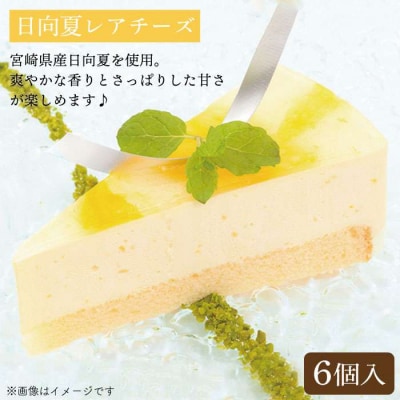 レアチーズケーキ(あまおう/日向夏)ケーキ2種12個 冷凍 糸島市/五洋食品産業[AQD008]