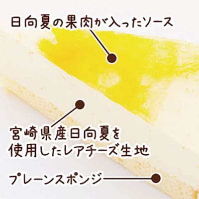 レアチーズケーキ(あまおう/日向夏)ケーキ2種12個 冷凍 糸島市/五洋食品産業[AQD008]