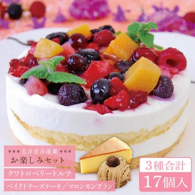 ベイクドチーズ/マロンモンブラン/クワトロベリートルテケーキ3種17個/五洋食品産業[AQD024]