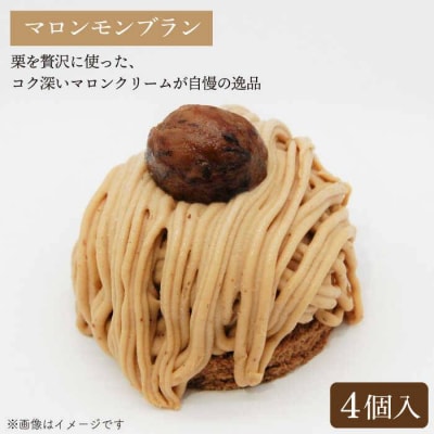 ベイクドチーズ/マロンモンブラン/クワトロベリートルテケーキ3種17個/五洋食品産業[AQD024]