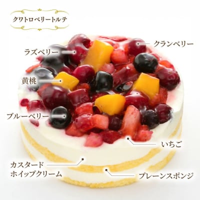 ベイクドチーズ/マロンモンブラン/クワトロベリートルテケーキ3種17個/五洋食品産業[AQD024]