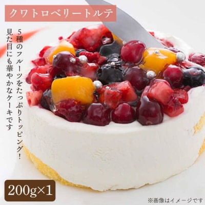 ベイクドチーズ/マロンモンブラン/クワトロベリートルテケーキ3種17個/五洋食品産業[AQD024]