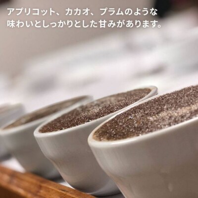 中煎りコーヒー豆250g×2袋(豆・粉選べます)パカマラ種ナチュラル[AQF004]
