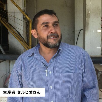 中煎りコーヒー豆250g×2袋(豆・粉選べます)ニカラグア産[AQF005]