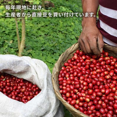 コーヒードリップバッグ40個セット(8種類×5個) 糸島/ COFFEEUNIDOS[AQF007]