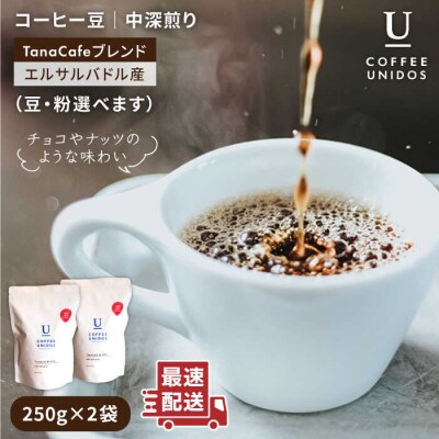 【年内発送】中深煎りコーヒー豆タナカフェブレンド250g×2袋(豆・粉選べる)[AQF011]