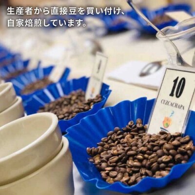 【年内発送】中深煎りコーヒー豆タナカフェブレンド250g×2袋(豆・粉選べる)[AQF011]