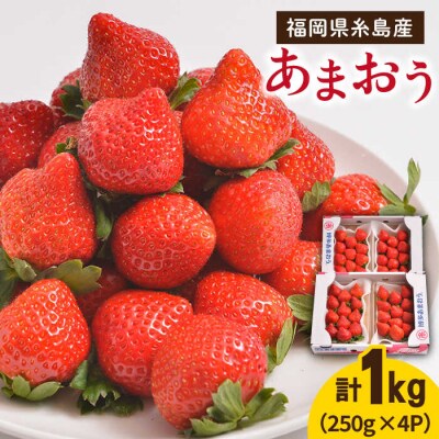 糸島産【冬】 あまおう 4パック 《糸島》【南国フルーツ株式会社】 [AIK006]