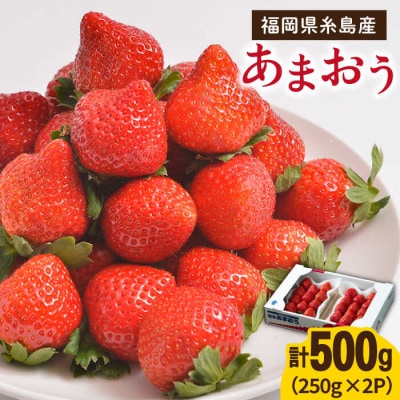 糸島産【冬】 あまおう 2パック 《糸島》【南国フルーツ株式会社】 [AIK007]